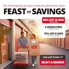 Access Storage - Chatham Promotion